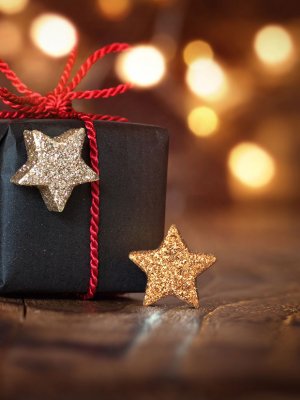 [COLUMNA] Vegetarianos Chile: 6 regalos diferentes para esta Navidad