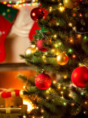 [ESPECIAL NAVIDAD] Los coloridos y luminosos árboles navideños de las celebridades