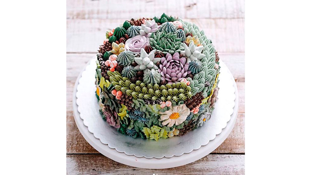 Fotos] [GALERÍA] Tendencia gourmet: Tortas decoradas con suculentas -  