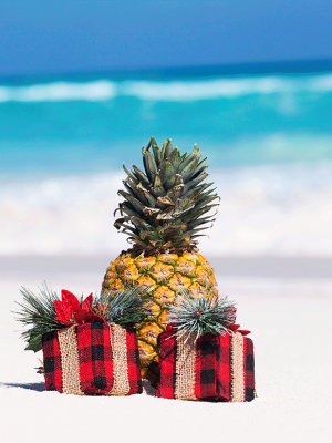 #EspecialNavidad: Una nueva tendencia tropical llega esta Navidad