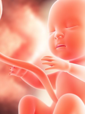 ¡Increíble! Nace un bebé de embrión congelado hace 24 años