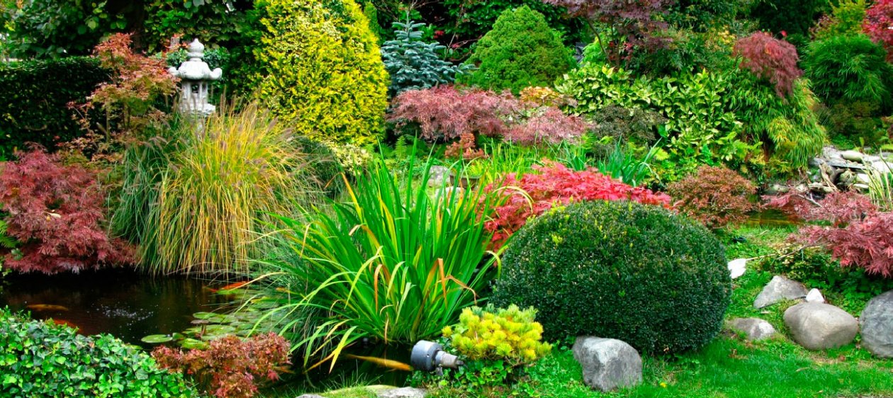 6 Consejos para tener un jardín con plantas saludables