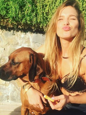 La campaña animalista que impulsa Mayte Rodríguez por las Redes