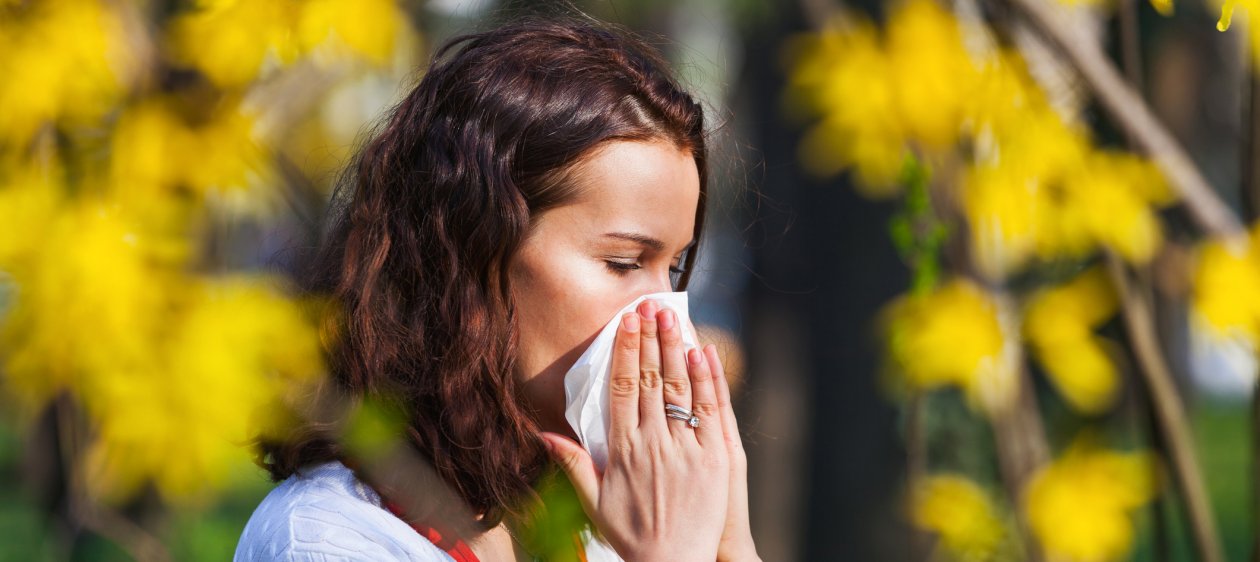 Temporada de alergias: ¿Cómo medicarte sin pagar de más?