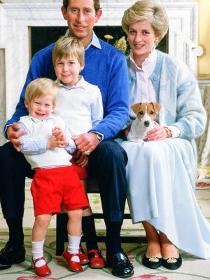 Carlos, Diana, William y Harry enviaban las mejores tarjetas navideñas