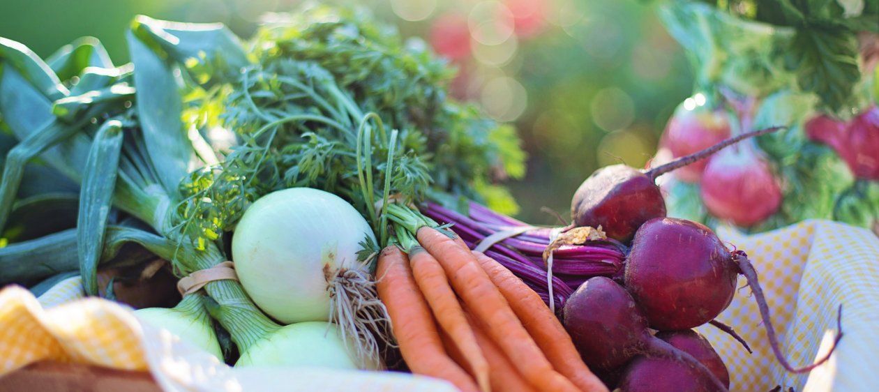 Los beneficios de alimentarse en base a productos orgánicos