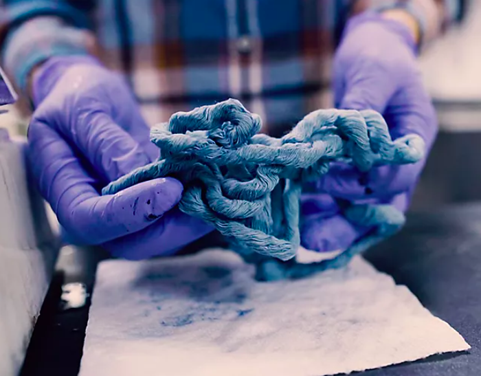 Imagen foto_00000003