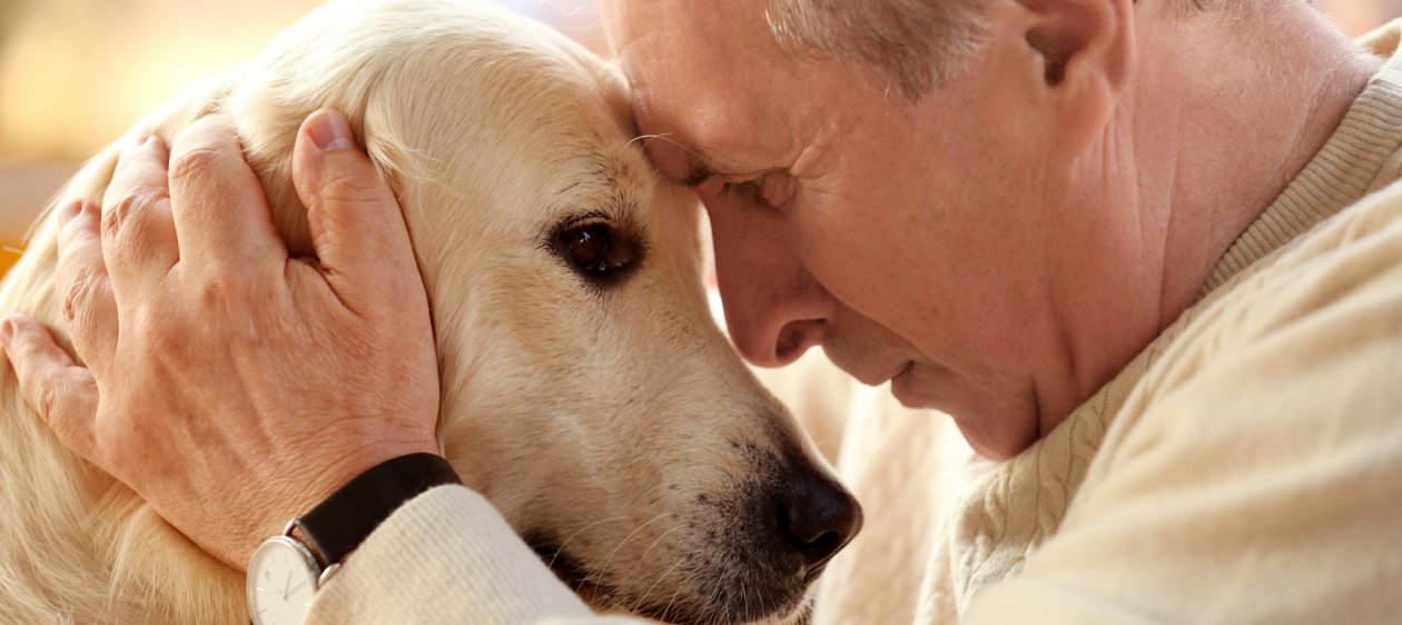 Terapia con perros, una opción para tratar la fibromialgia