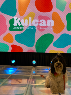 Conoce Kulcan, la nueva marca para el peludo de tu casa