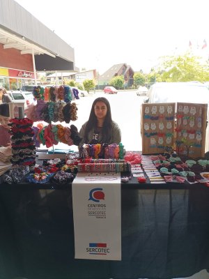 Emprendedoras de Sercotec conmemoran Día de la Mujer con una feria en Patio Outlet Temuco