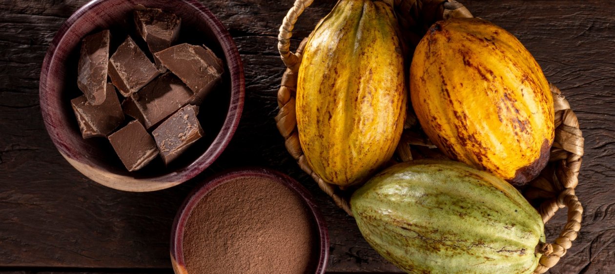 Día del chocolate: El origen y beneficios de este milenario alimento