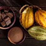 Día del chocolate: El origen y beneficios de este milenario alimento