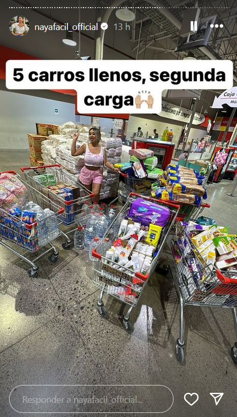 Historia de Instagram de Naya Fácil. En la imagen muestra los carros llenos con compras realizadas con el dinero que aportaron sus fanáticos