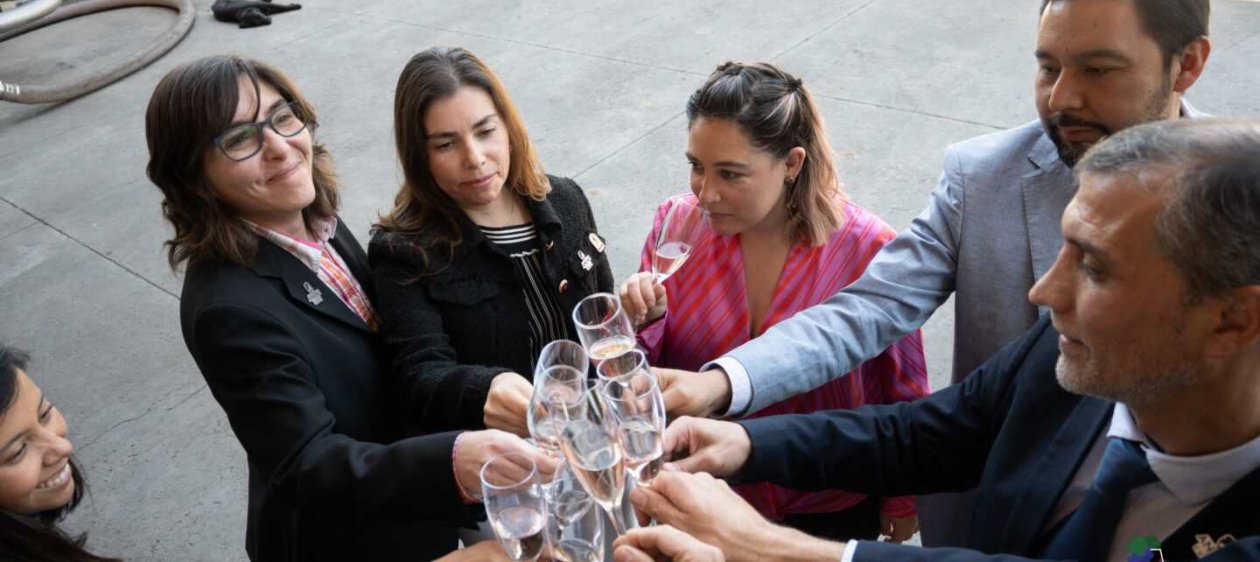 La Asociación de Ingenieros Agrónomos Enólogos de Chile visibiliza la evolución del rol de las mujeres y su alcance en la industria del vino donde aseguran “siempre han estado”