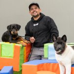 Conoce "Gym Dog", el gimnasio que ofrece bienestar a tu perro