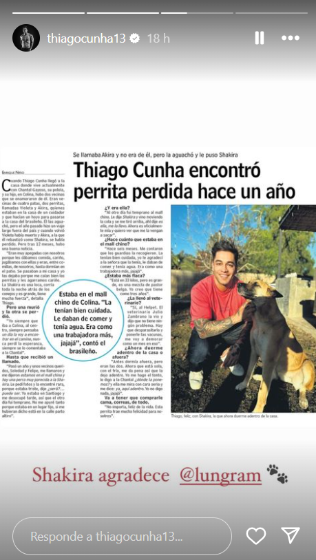 Historia de Thiago Cunha contando el reencuentro con su perrita