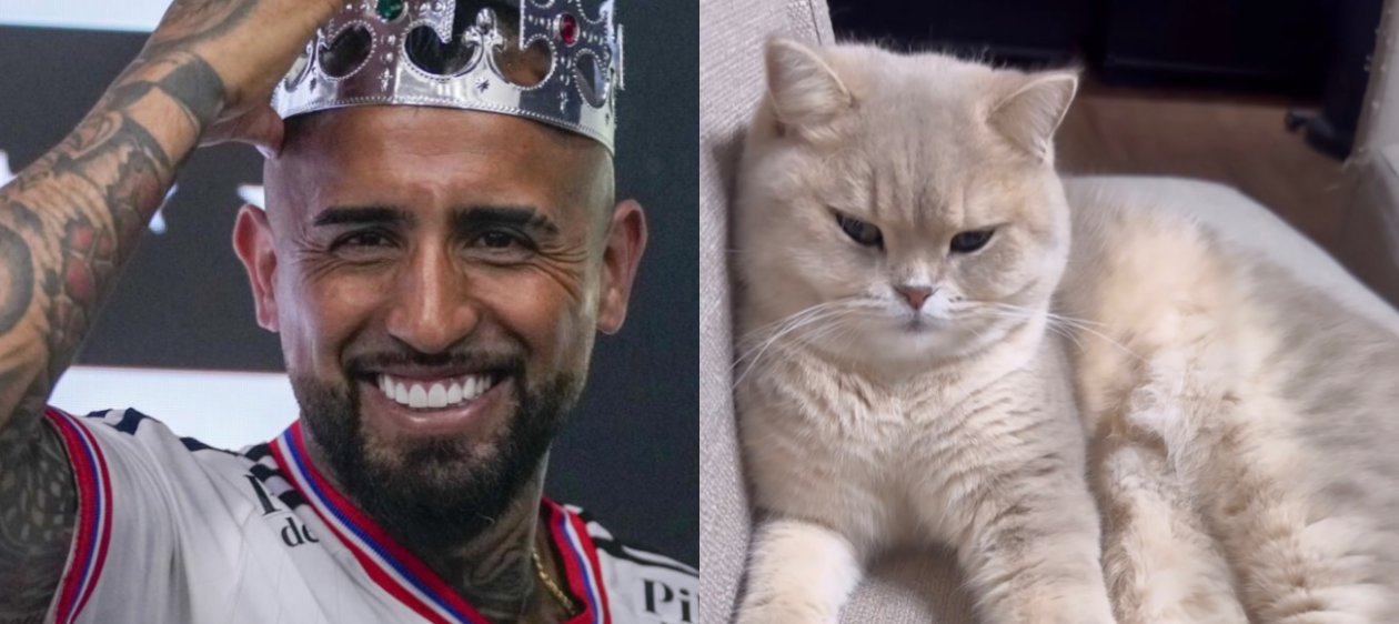 “¡Volvió el King!”: Apareció el gato extraviado de Arturo Vidal