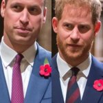 Se ignoraron: Así fue el reencuentro de Harry con el príncipe William