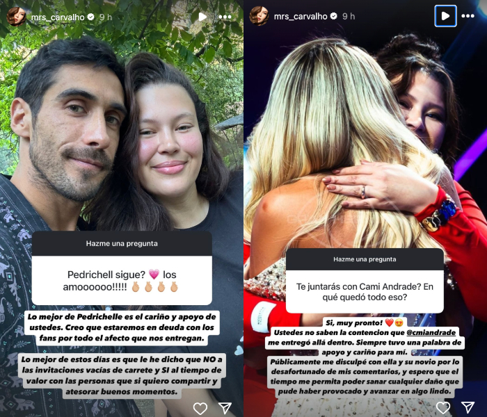 Historias de Michelle sobre su relación con Camila Andrade y Pedro Astorga 