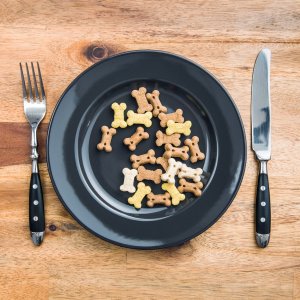Comida casera vs. alimento balanceado ¿Cuál es mejor para nuestras mascotas?