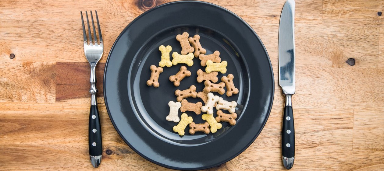 Comida casera vs. alimento balanceado ¿Cuál es mejor para nuestras mascotas?