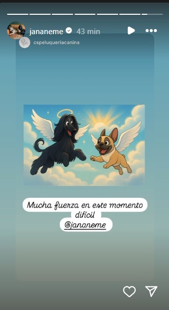 Imagen foto_00000004