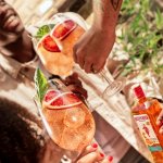 ¿Frutal, cítrico o clásico? La guía para encontrar tu mezcla perfecta este Día del Gin