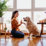 Día Mundial del Perro: conoce su emotivo origen y los cuidados clave para tu mejor amigo