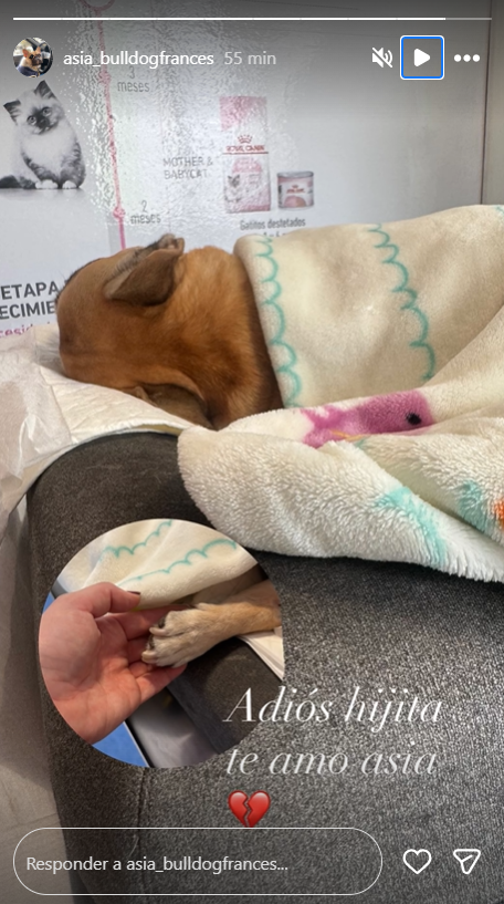 Imagen foto_00000022