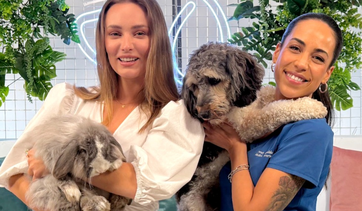 Imagen foto_00000003