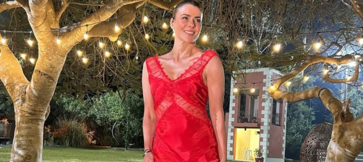 A días de la Teletón: Tonka Tomicic queda fuera de un segmento clave