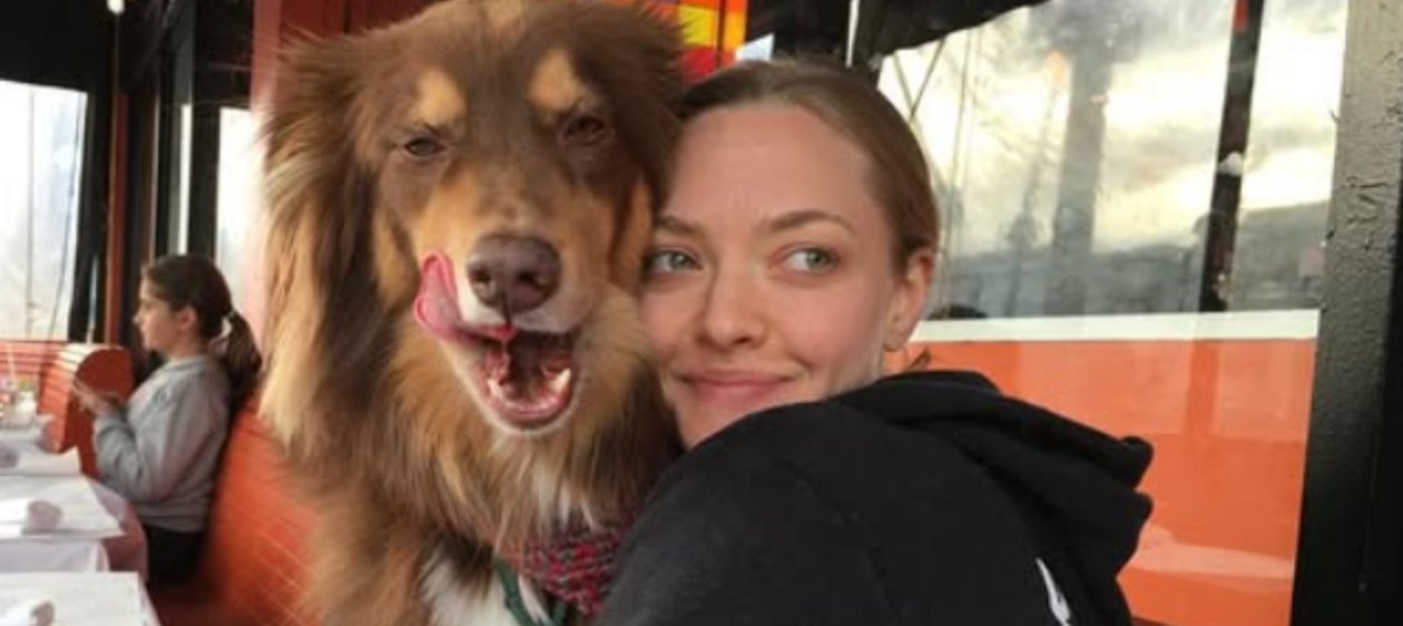 Amanda Seyfried reflexionó sobre la maternidad: 