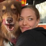 Amanda Seyfried reflexionó sobre la maternidad: "Me siento más joven ahora que hace 10 años"