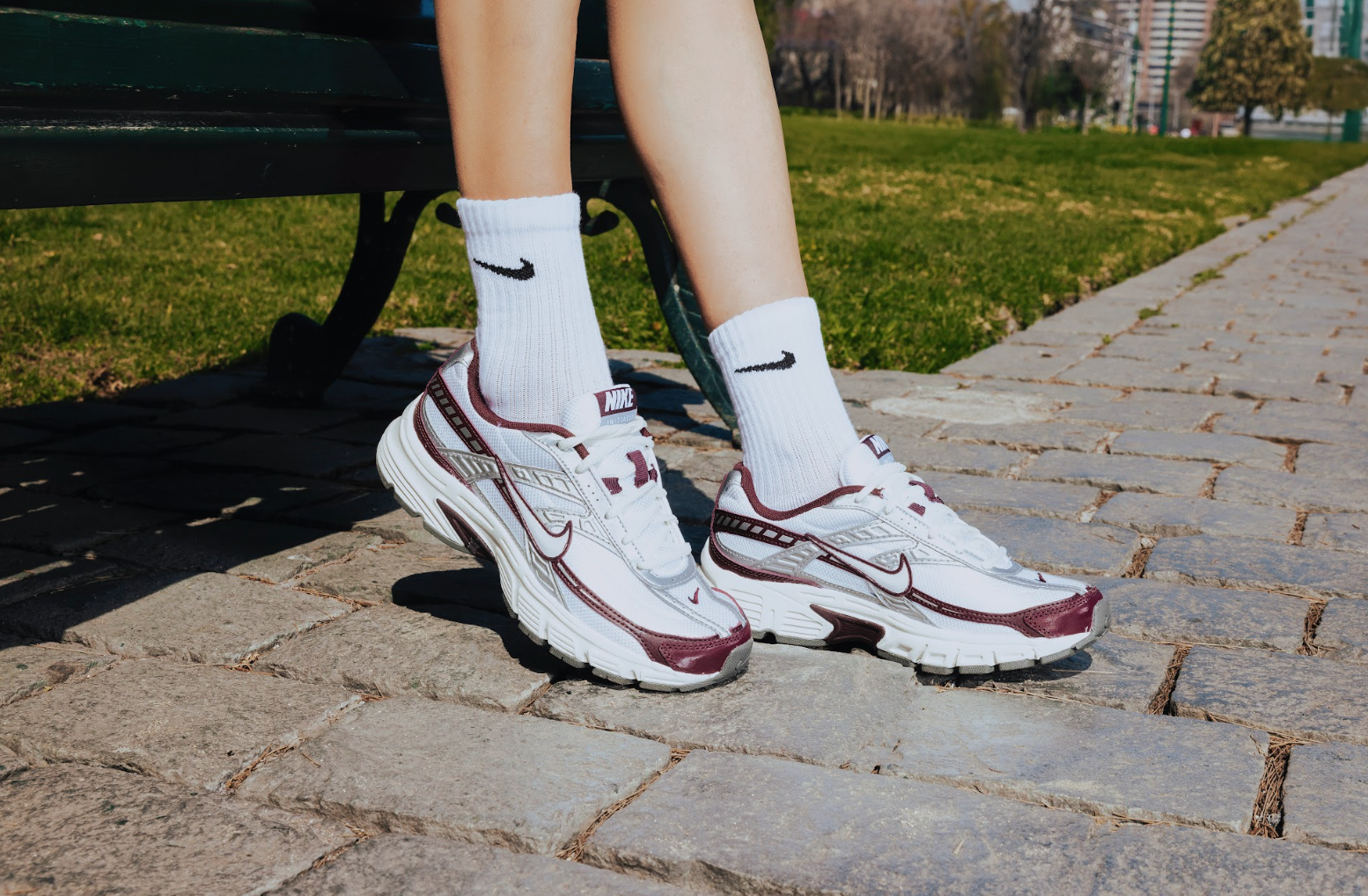 Imagen foto_00000005