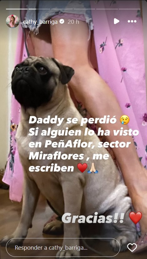 Imagen foto_00000022