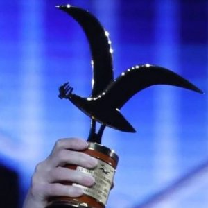 Insólito robo: sustraen Antorcha y Gaviota desde el set de Tu Día