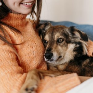 Mascotas protegidas: Inauguran escuela para enseñar a tutores cómo cuidar a perros y gatos este invierno.