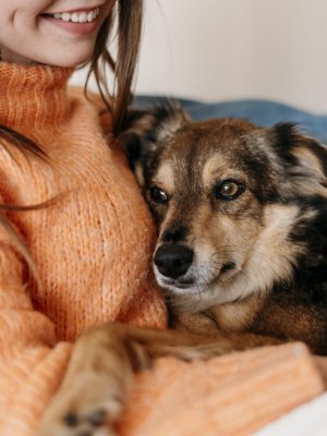 Mascotas protegidas: Inauguran escuela para enseñar a tutores cómo cuidar a perros y gatos este invierno.