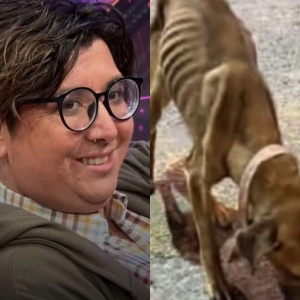 Panelista de TV+ y creador de contenido de Fiebre de Baile es acusado de maltrato animal