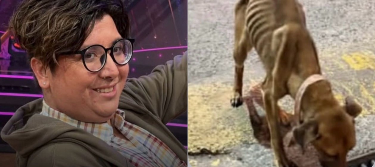 Panelista de TV+ y creador de contenido de Fiebre de Baile es acusado de maltrato animal