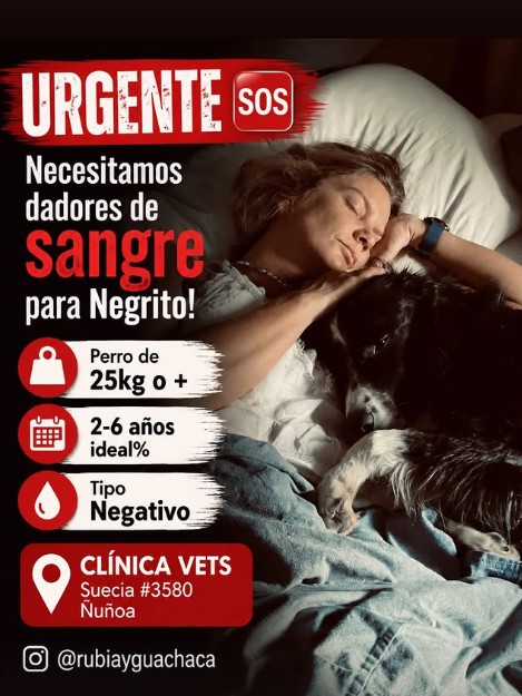 Imagen foto_00000023