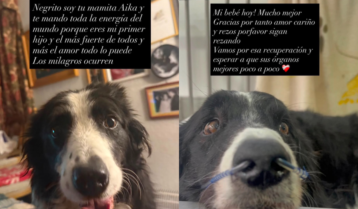 Imagen foto_00000001