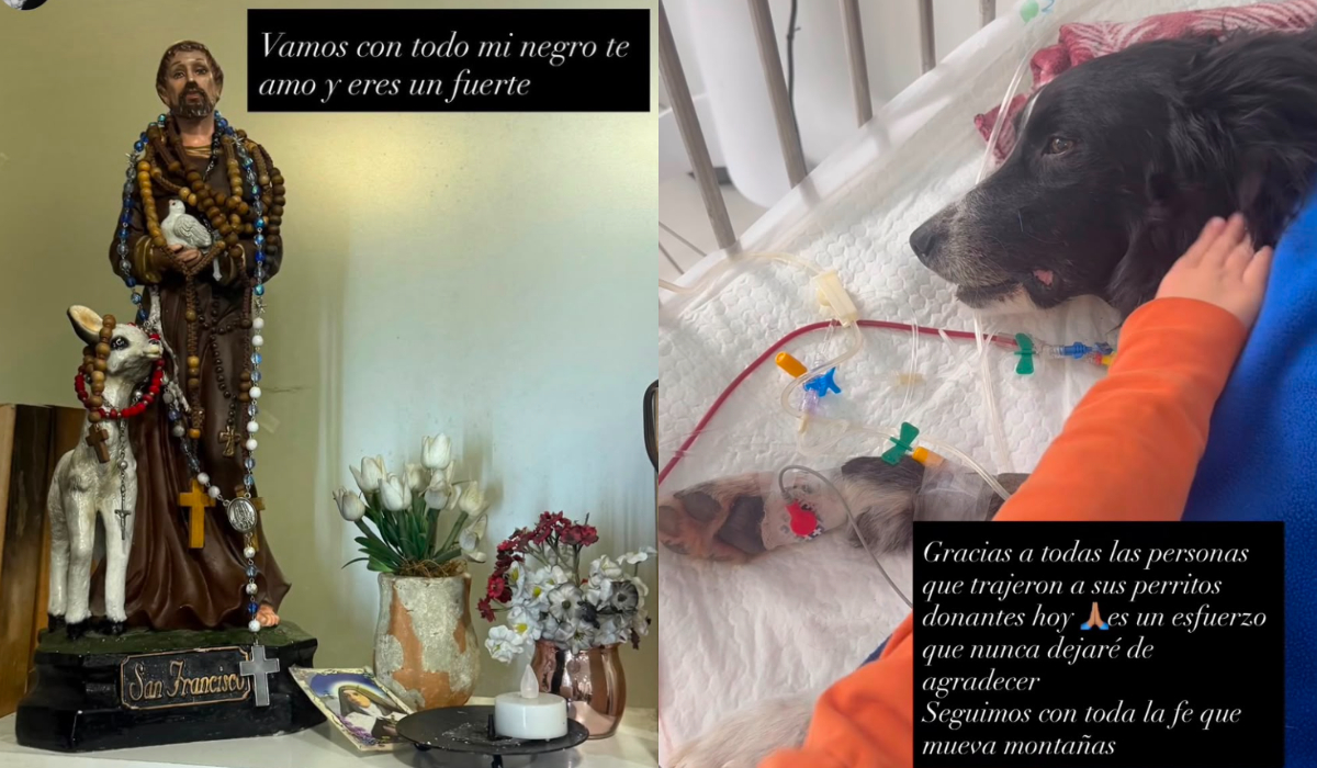 Imagen foto_00000003