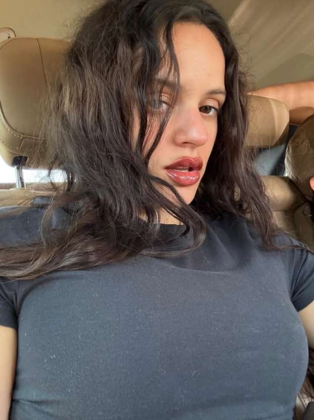 Rosalía compartió postales de su último paseo en Chile