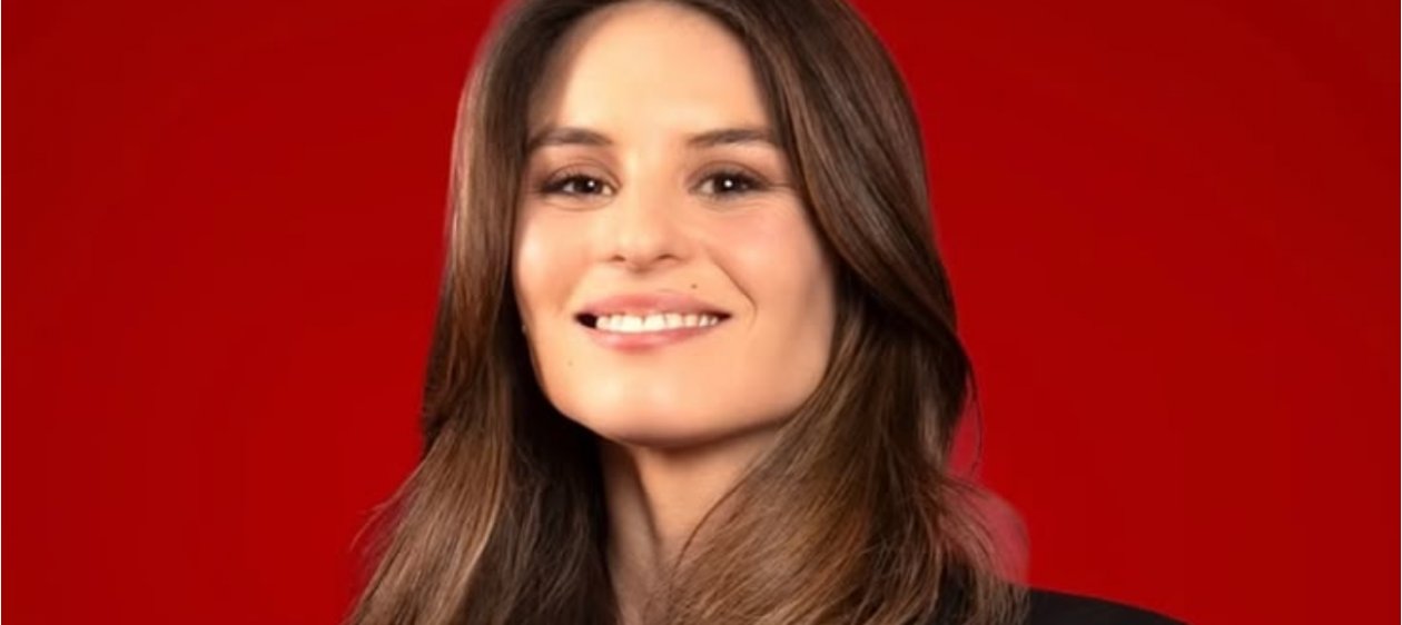 Panelista de 