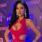 Ignacia Michelson molesta con Vértigo: "Siempre refriegan los errores"