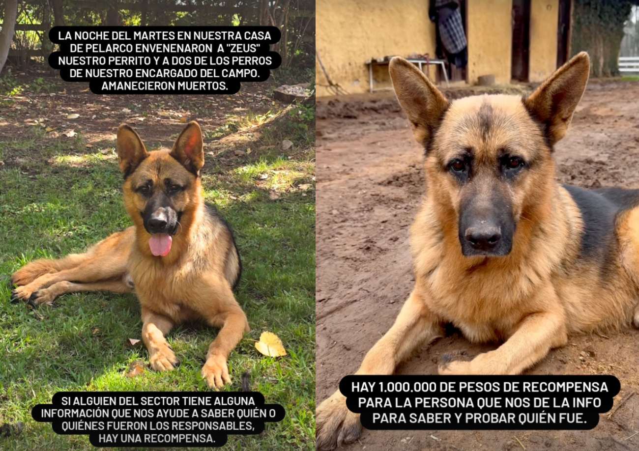 Imagen foto_00000002
